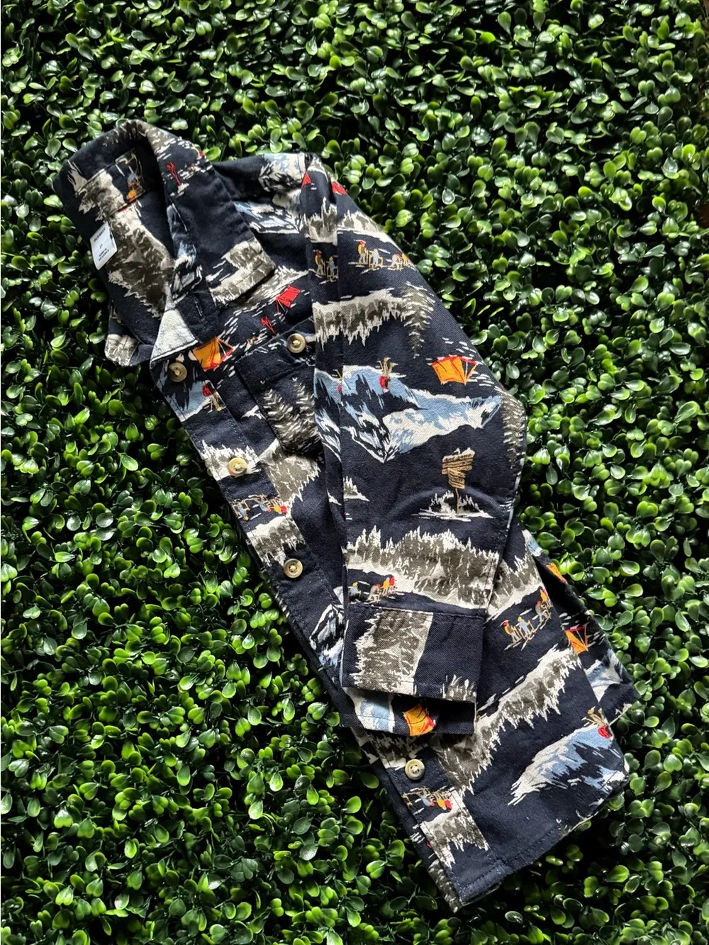 Old Navy Blue Scenic Camp Print Button-Down Shirt
